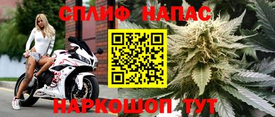 молекула духа Можга